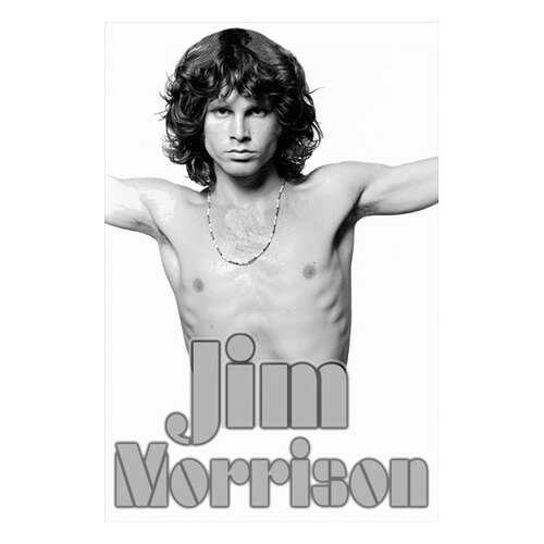 Постер СТ-Диалог Jim Morrison, МУЗ-314, бумага, 40х60 см в Леонардо